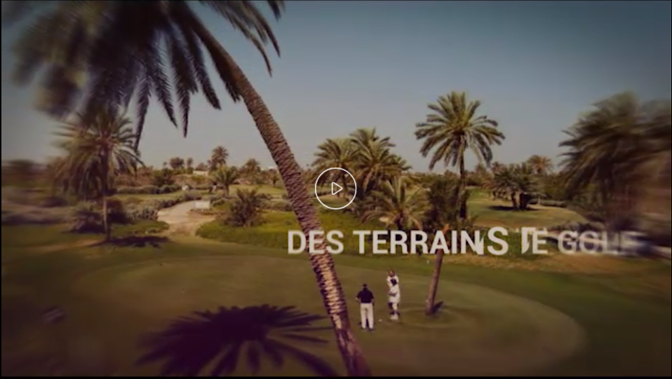 des_terrains_de_golf.png